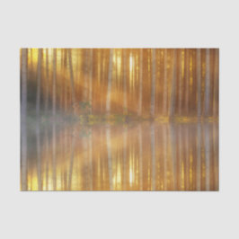 Misty Forest Scene Seidenpapier