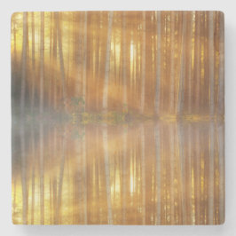 Misty Forest Scene Steinuntersetzer