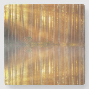 Misty Forest Scene Steinuntersetzer
