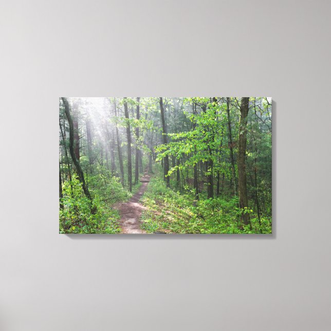 Misty Forest Trail auf dem Burg Leinwanddruck (Vorderseite)