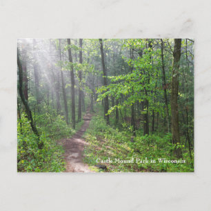 Misty Forest Trail auf dem Burg Postkarte