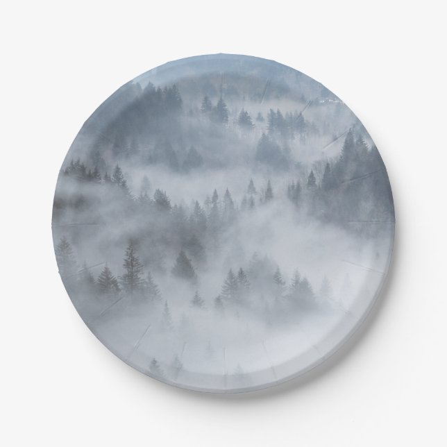 Misty Forest Valley Pappteller (Vorderseite)