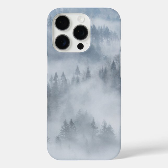 Misty Forest Valley title_seo2 (Rückseite)