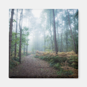 Misty Forest Walk Magnet