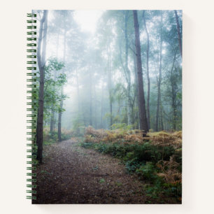 Misty Forest Walk Notizbuch