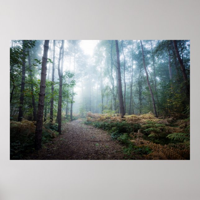 Misty Forest Walk Poster (Vorne)
