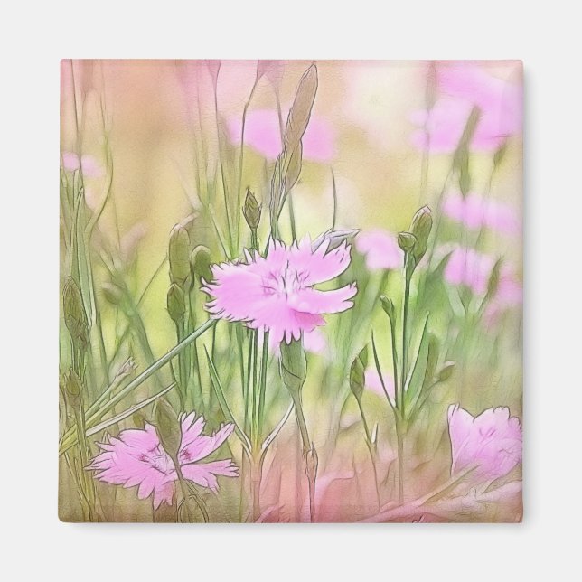 Misty Morning Dianthus Magnet (Vorne)