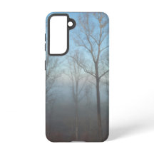 Misty Morning Forest