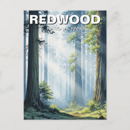 Misty Morning in Redwood National Park Postkarte