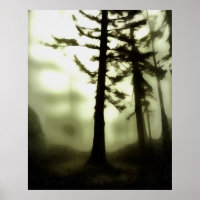 Misty Morning Monotone Forest Landschaft