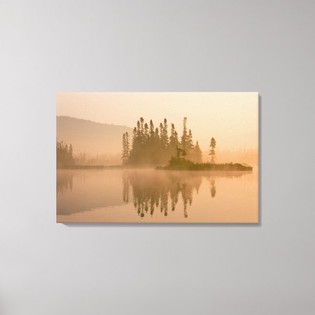 Misty Morning on East Inlet, Pittsburg, New Leinwanddruck (Vorderseite)