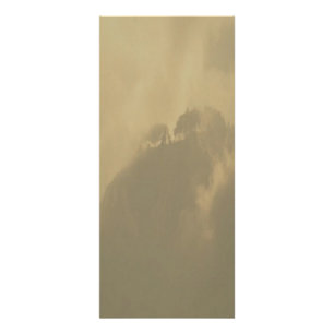 Misty Morning Rack Card Werbekarte