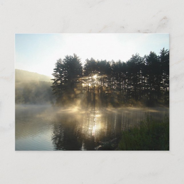 Misty Morning Sunrise Allegheny Staat Park Postkarte (Vorderseite)