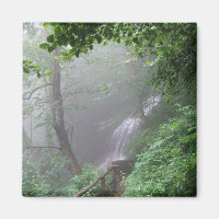 Misty Mountain