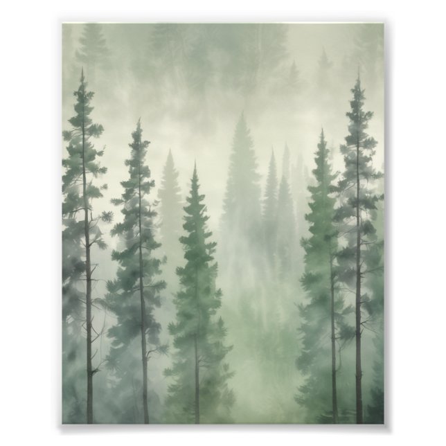 Misty Pine Forest Serenity Fotodruck (Vorne)