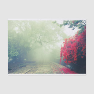 Misty Railroad Tracks Landschaftliches Foto Seidenpapier