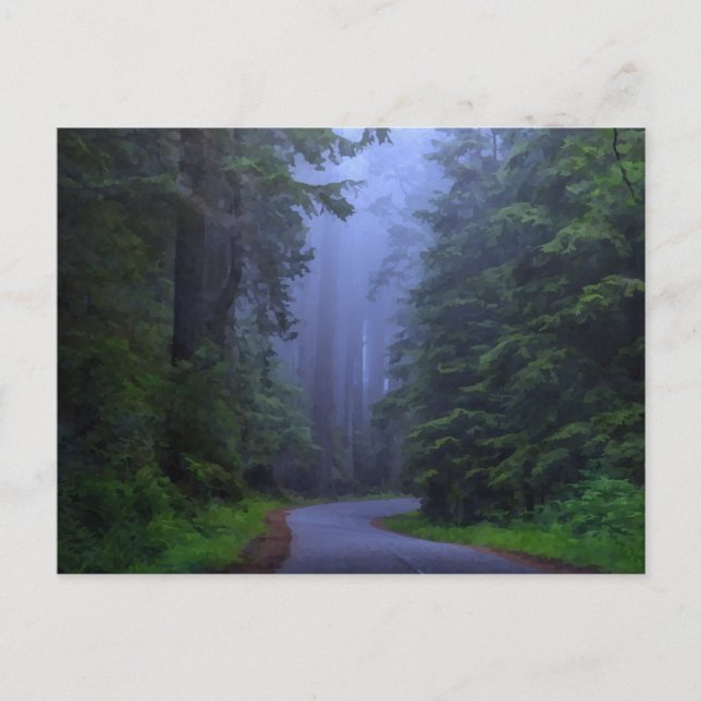 Misty Redwood National Park Postcard Postkarte (Vorderseite)