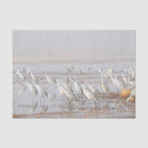 Misty Sandhill Cranes Seidenpapier