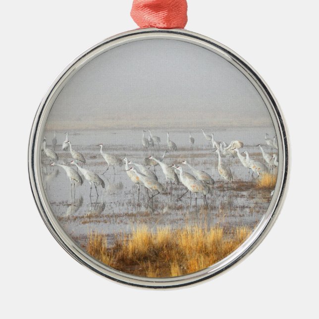 Misty Sandhill Cranes Silbernes Ornament (Vorne)