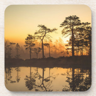 Misty Sunrise in Forest - Bäume reflektiert Getränkeuntersetzer