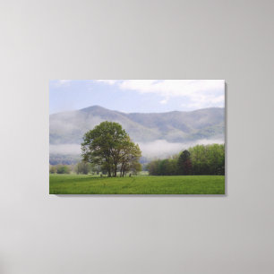 Misty Wiese and Rich Mountain, Cades Cove, Leinwanddruck