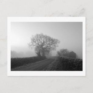 Misty Winter Morning: Cheshire, England Postkarte
