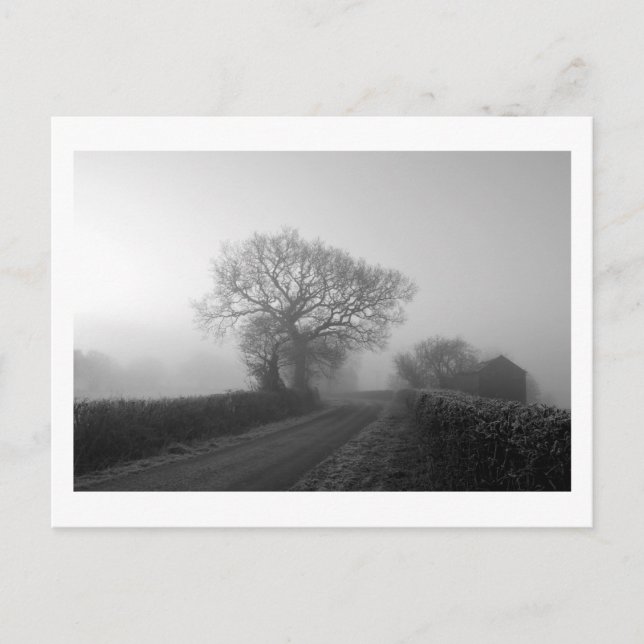 Misty Winter Morning: Cheshire, England Postkarte (Vorderseite)