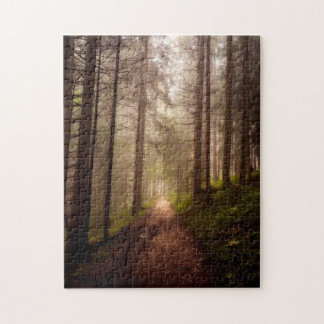 Misty Woodland Path