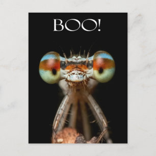 Mit Augen Damselfly Postkarte
