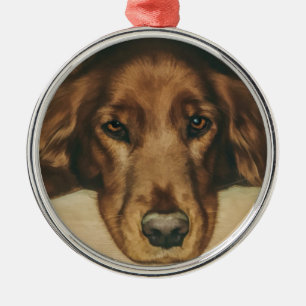 Mit Augen goldener irischer Hund Browns Silbernes Ornament