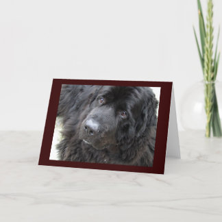 mit Augen Hugo Karte