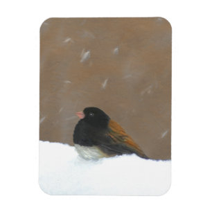 Mit Augen Junco-Malerei - Original Bird Art Magnet