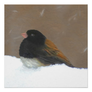 Mit Augen Junco-Malerei - Original Bird Art Poster