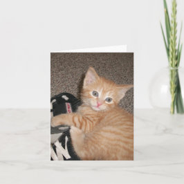 Mit Augen Kätzchennotizkarte Karte