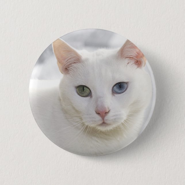 mit Augen Katze nah Button (Vorderseite)
