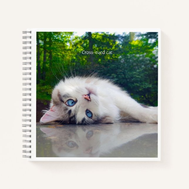 Mit Augen Katze Notizbuch (Vorderseite)
