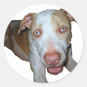 mit Augen Pillenaufkleber Runder Aufkleber