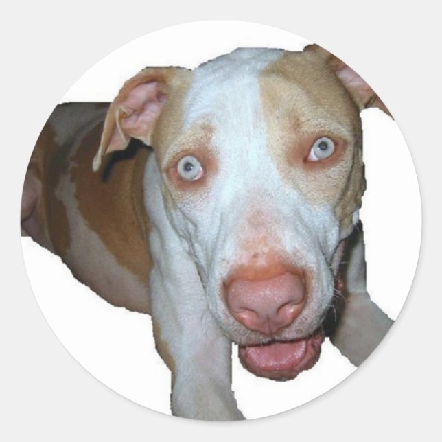 mit Augen Pillenaufkleber Runder Aufkleber (Vorderseite)