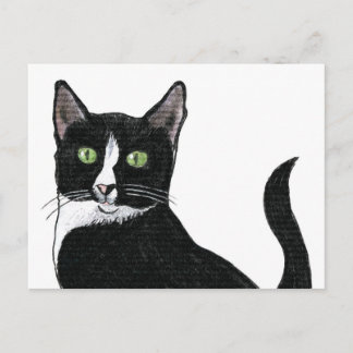 Mit Augen schwarz-weiße Katze Postkarte