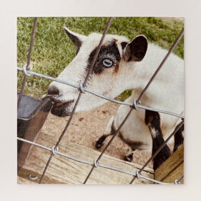 mit Augen Ziege (Vertikal)