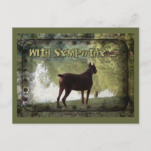 Mit Beileid - Doberman mit Blick auf den See Postkarte (Vorderseite)