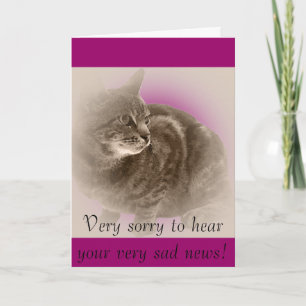 Mit Beileid (Verlust einer Katze) Karte