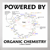 Mit Bio Chemie versorgt Krebs Cycle Spaß