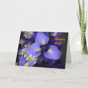 Mit Blumen, Iris und Minigänseblümchen, denkend an Karte