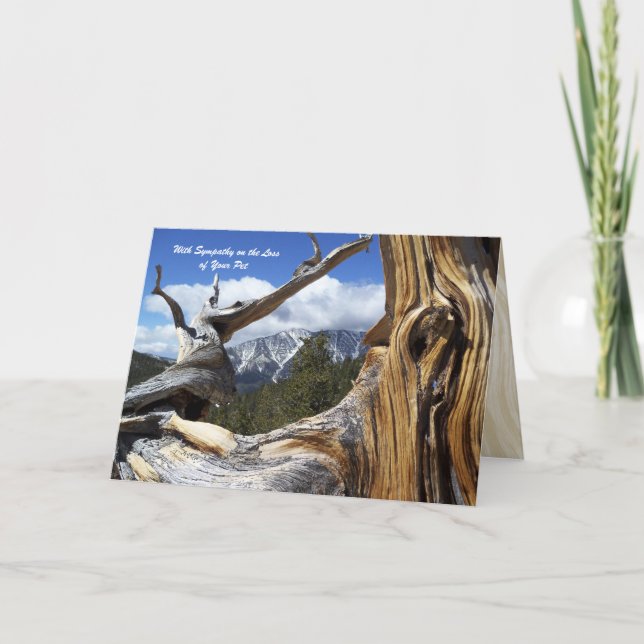 Mit dem Verlust von Beileid Berg Thru Baum Karte (Vorderseite)
