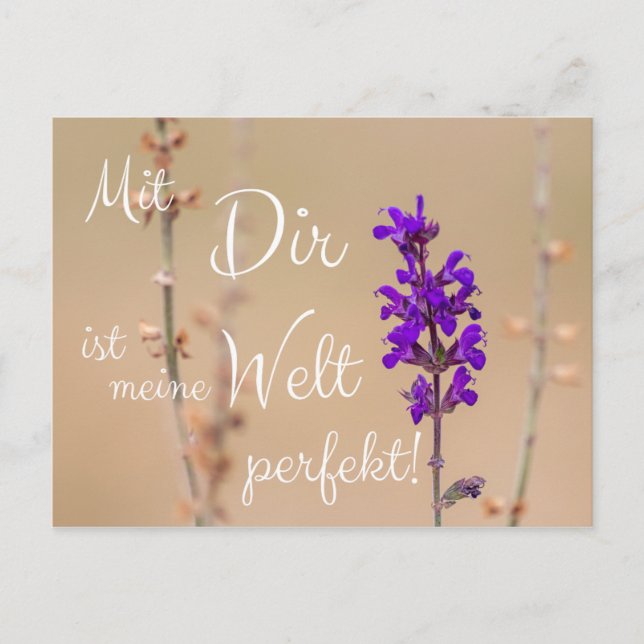 Mit Dir ist meine Welt perfekt! Postkarte (Vorderseite)