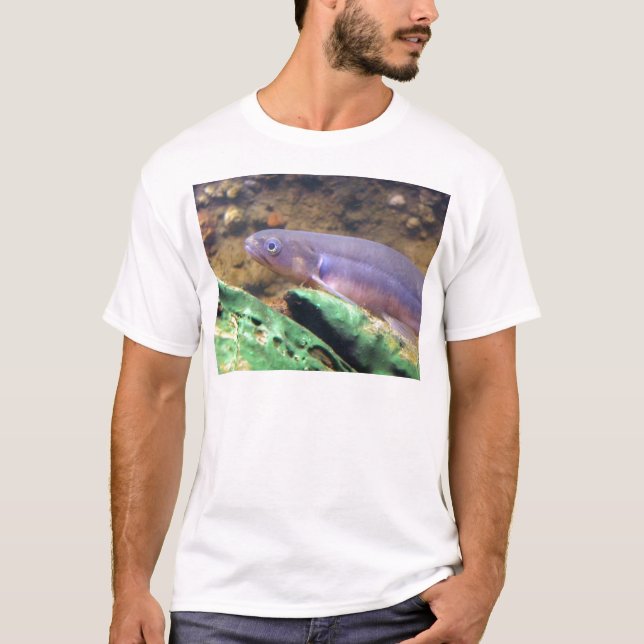 Mit einem Band versehenes Kokopu T-Shirt (Vorderseite)