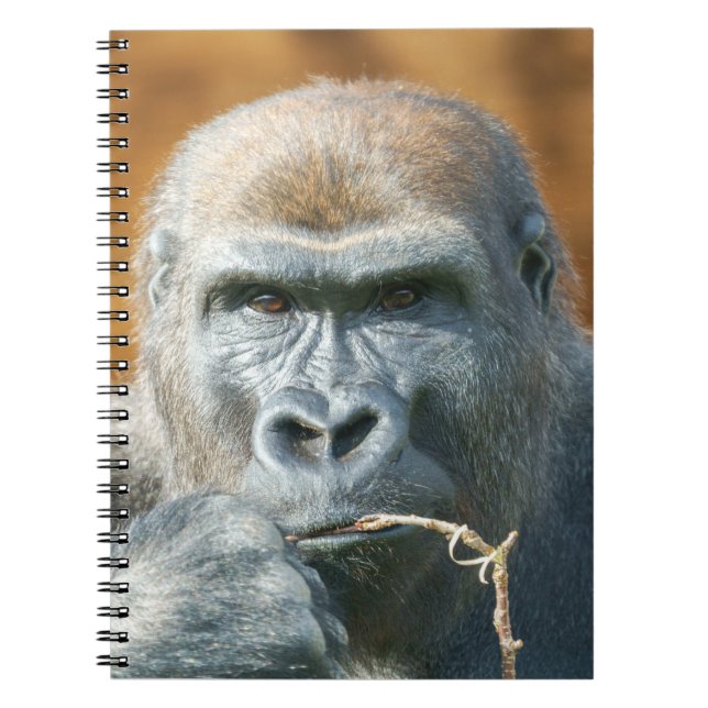 Mit einem Gorilla konfrontiert Notizblock (Vorderseite)