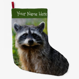 Mit einem nordamerikanischen Raccoon konfrontiert Großer Weihnachtsstrumpf