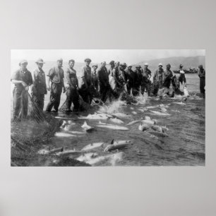 Mit einem Wadenetz fischen der Lachse in Astoria Poster